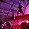 jn_7_2.png