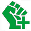 雷胆营.png